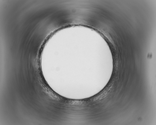 X0000096480832200801241144