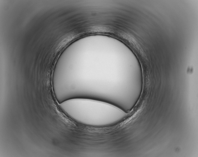 X0000096480833200801241144