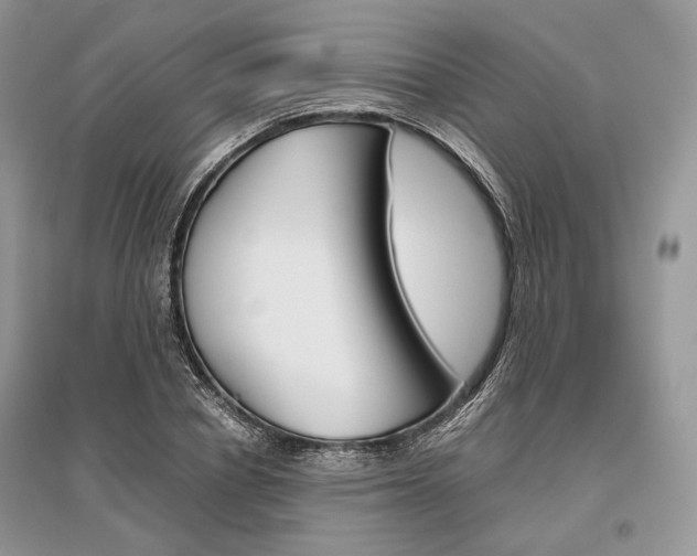 X0000096480834200801241145