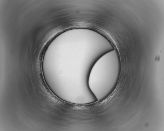 X0000096480835200801241145