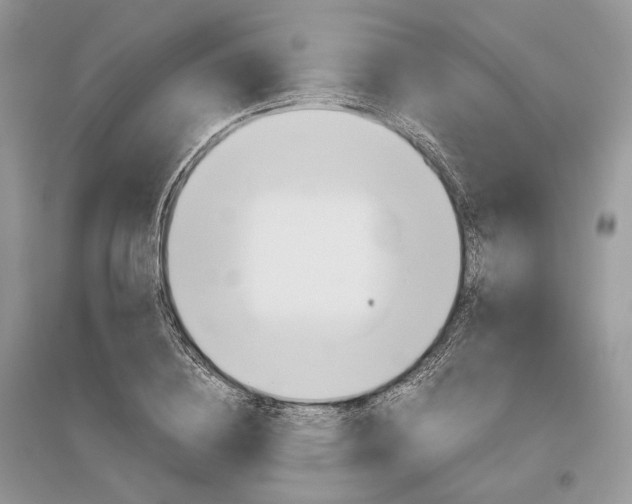 X0000096480836200801241145
