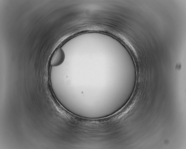 X0000096480837200801241145
