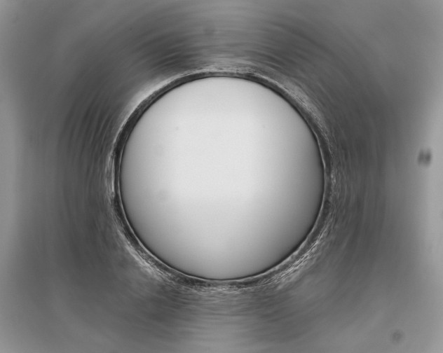 X0000096480838200801241145