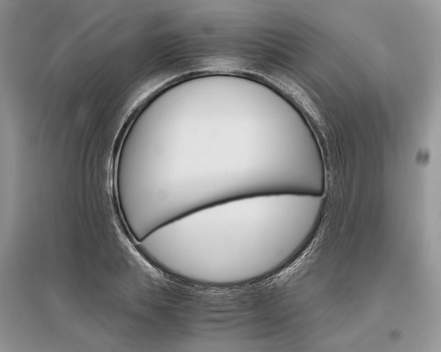 X0000096480839200801241145