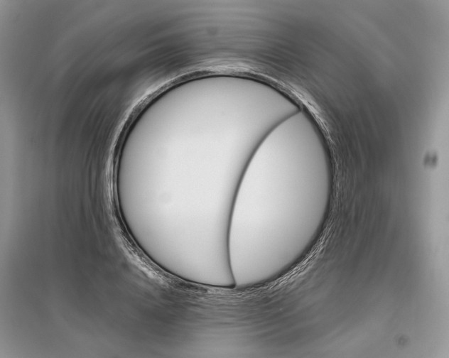 X0000096480840200801241145