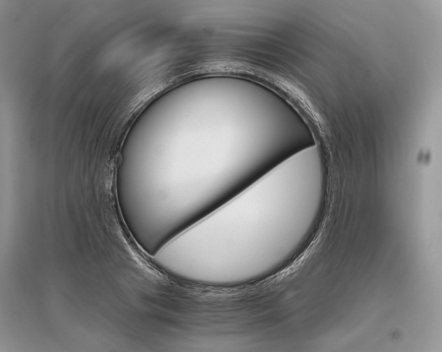 X0000096480841200801241145