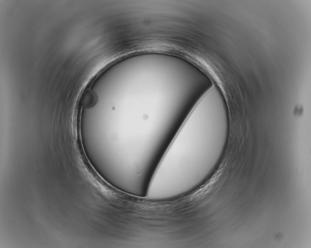 X0000096480843200801241145