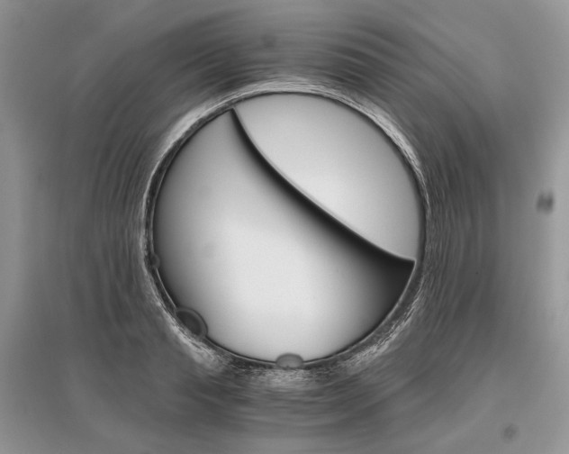 X0000096480845200801241145