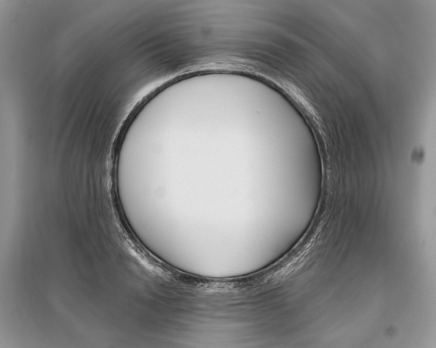 X0000096480846200801241145