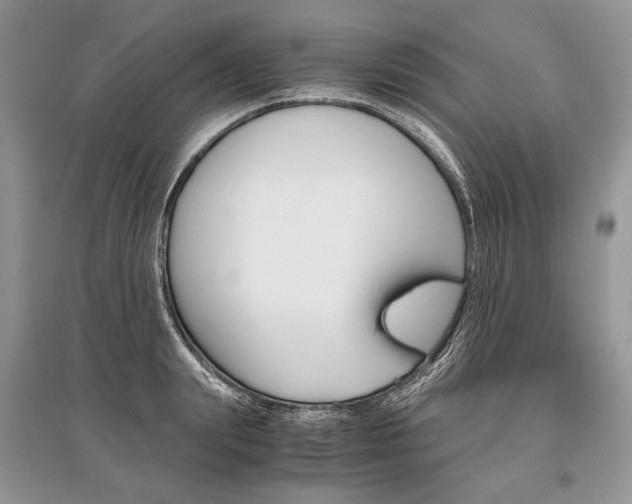 X0000096480847200801241145