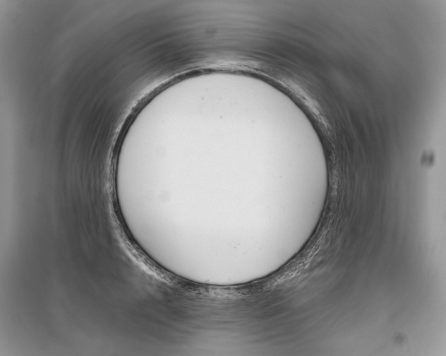 X0000096480848200801241145