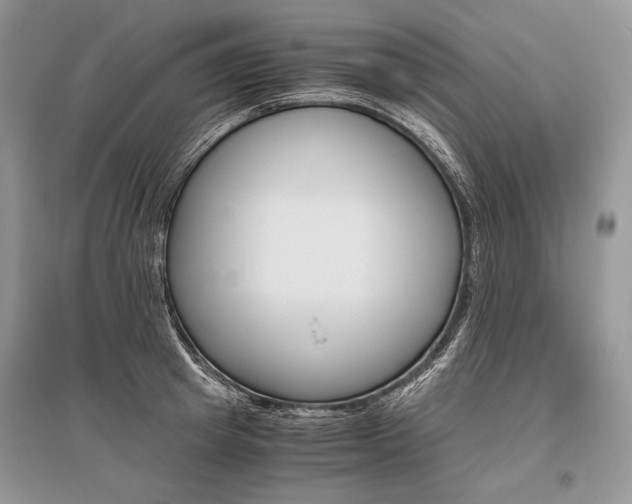 X0000096480849200801241145