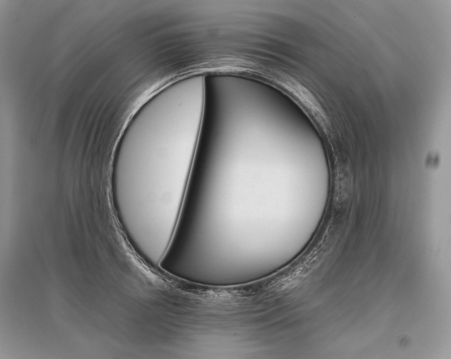 X0000096480850200801241145