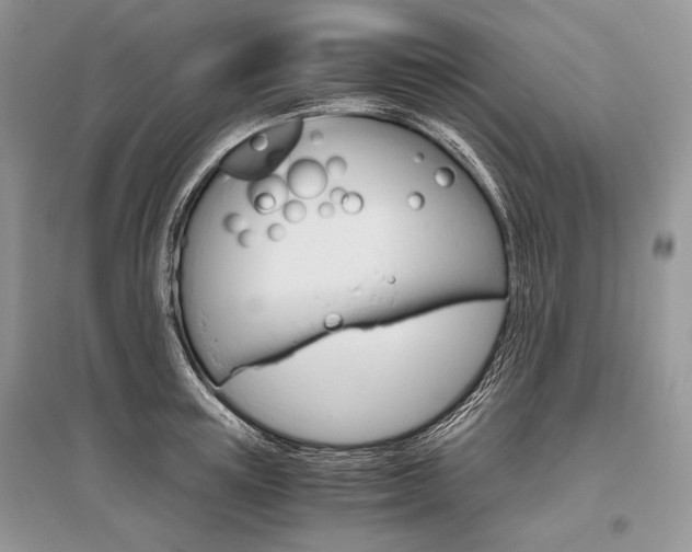 X0000096480851200801241145