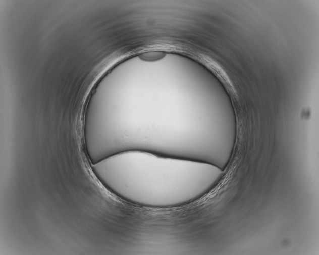 X0000096480852200801241145