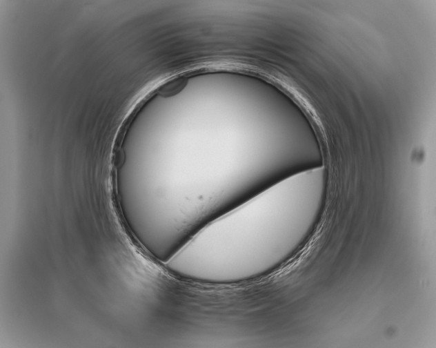 X0000096480853200801241145