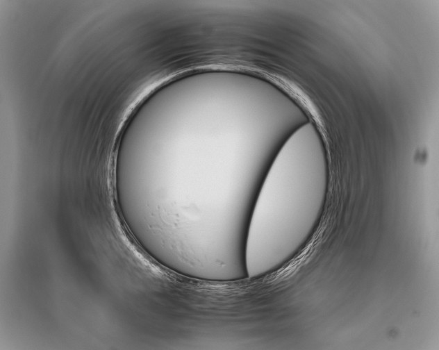 X0000096480855200801241145