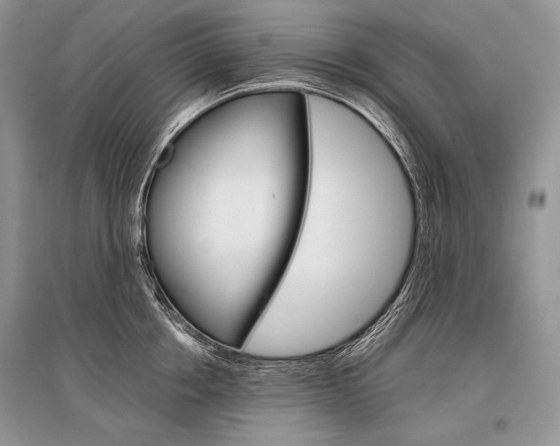 X0000096480858200801241145