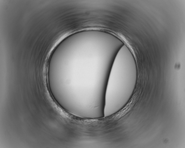 X0000096480859200801241145