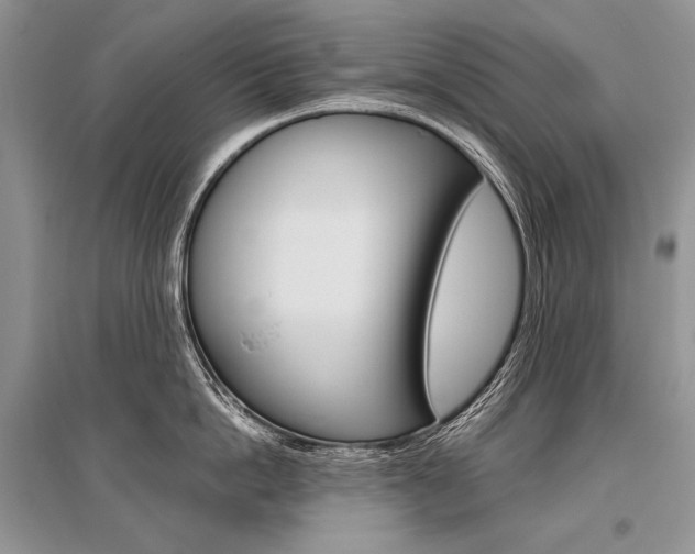 X0000096480862200801241145