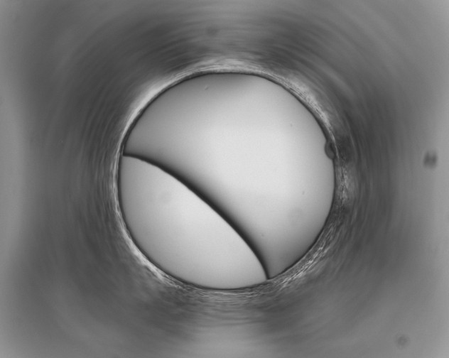 X0000096480863200801241145