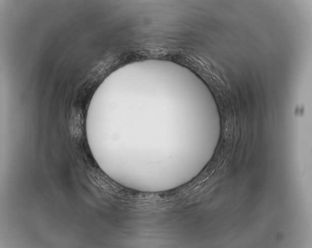 X0000096480866200801241144