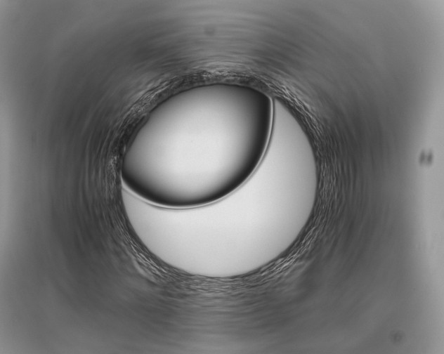 X0000096480868200801241144