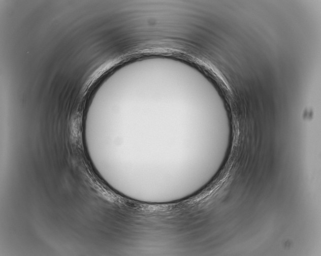 X0000096480874200801241144