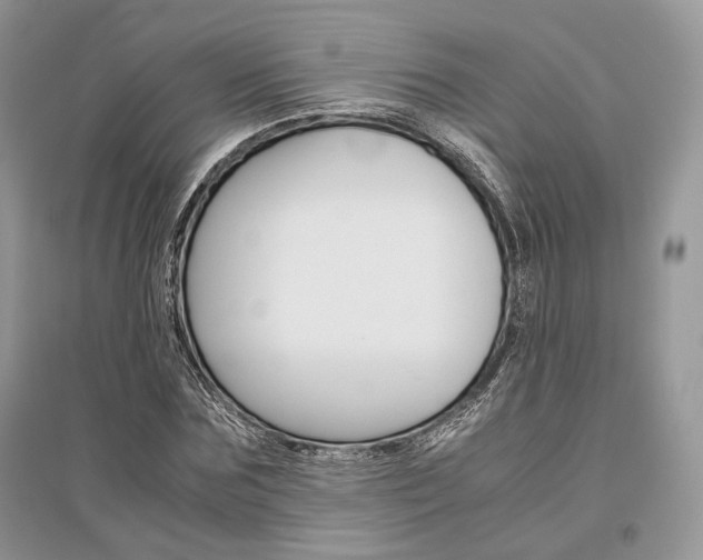 X0000096480875200801241144