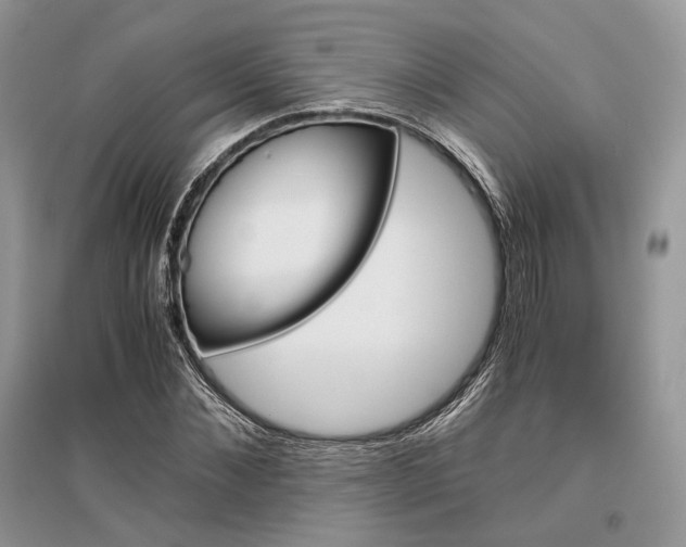 X0000096480876200801241144