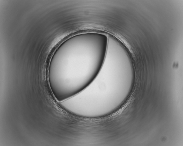 X0000096480877200801241144