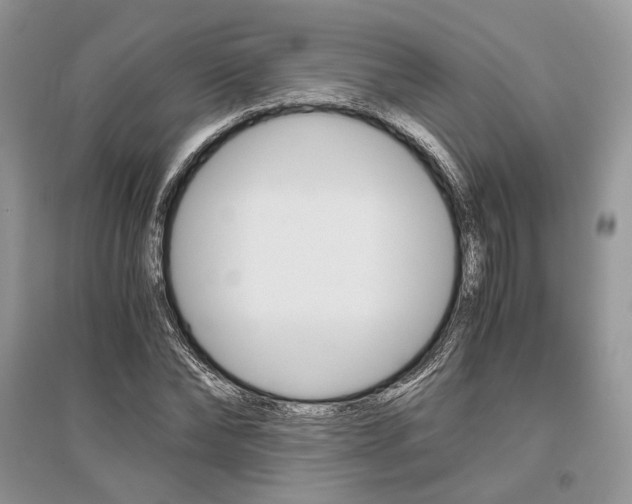 X0000096480878200801241144