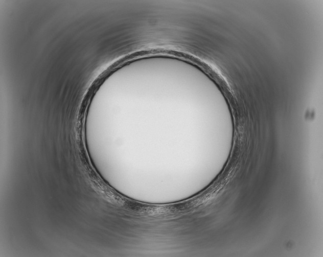 X0000096480879200801241144