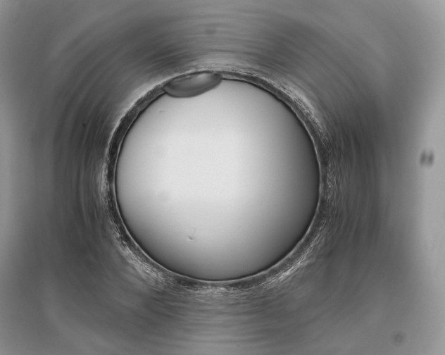 X0000096480880200801241144