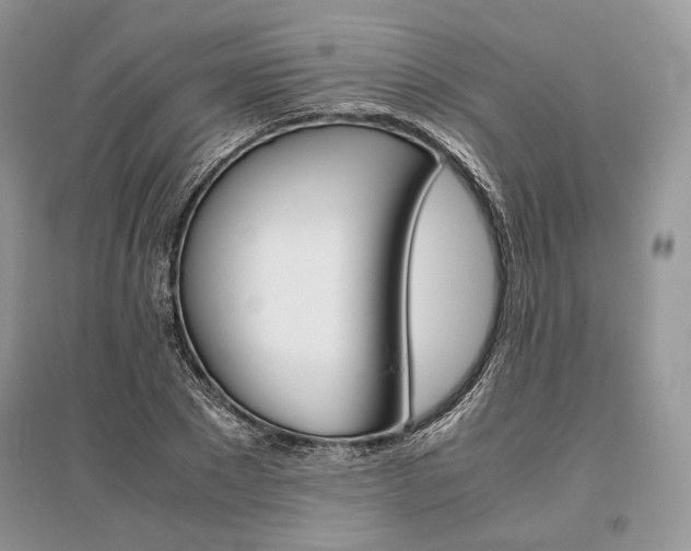 X0000096480881200801241144