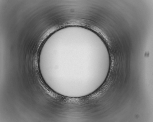 X0000096480882200801241144