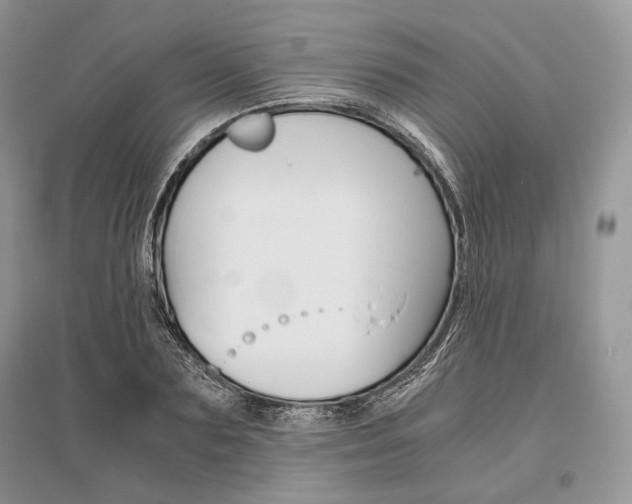 X0000096480883200801241144