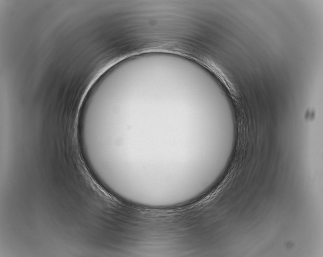 X0000096480884200801241144
