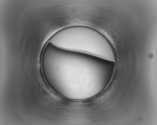 X0000096480885200801241144