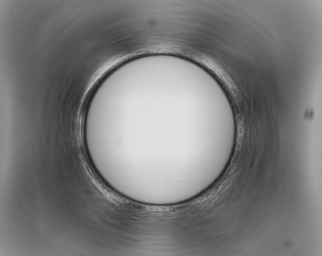 X0000096480886200801241144