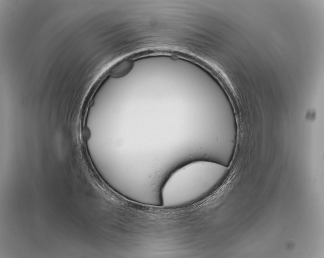 X0000096480887200801241144