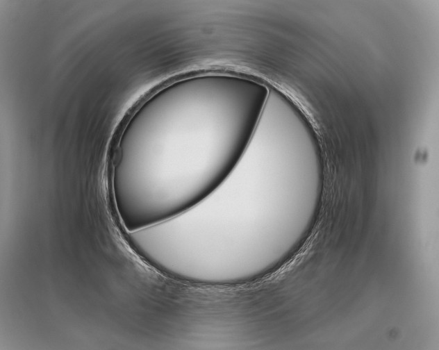 X0000096480888200801241144