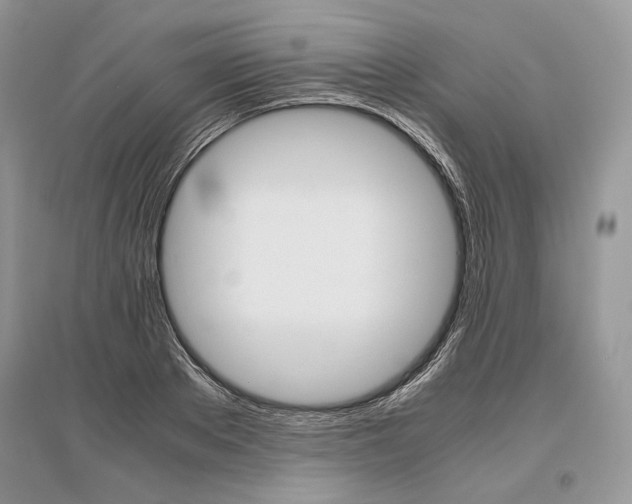 X0000096480889200801241144