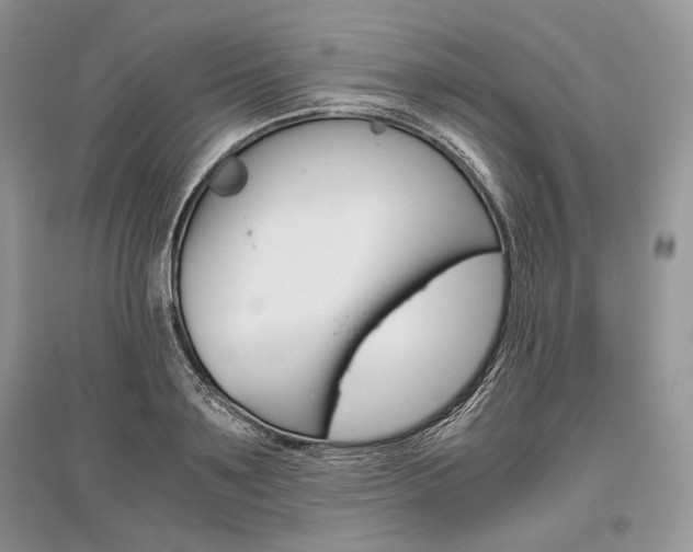 X0000096480891200801241144