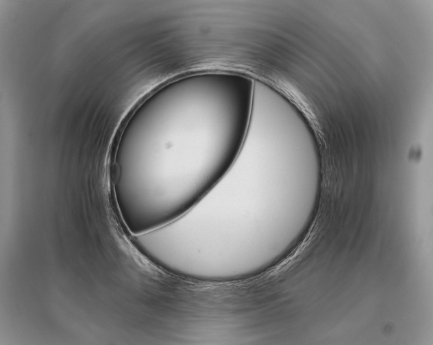 X0000096480892200801241144