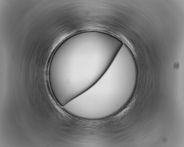 X0000096480893200801241144
