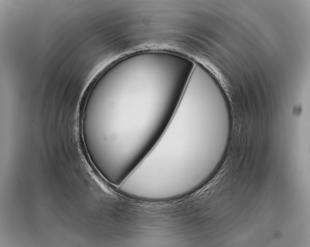 X0000096480894200801241144