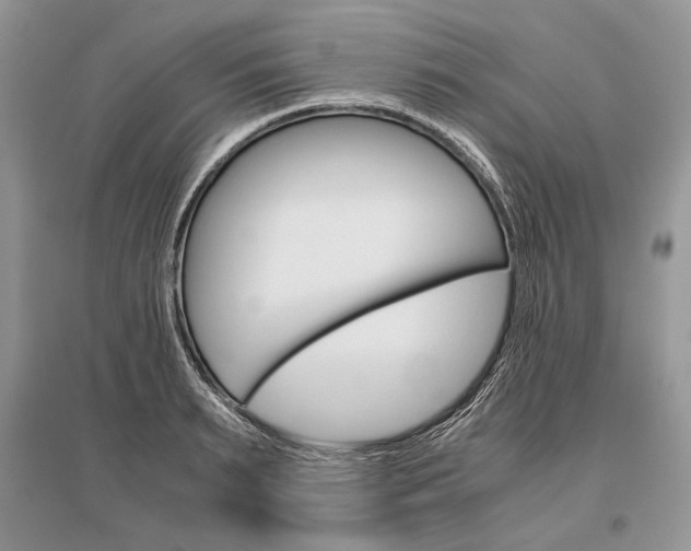 X0000096480895200801241144