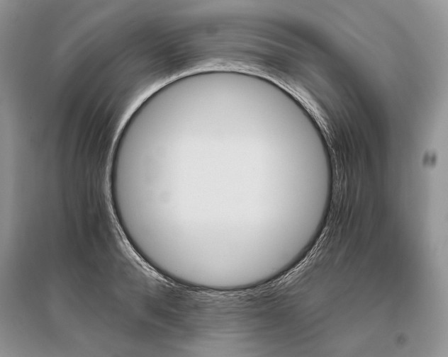 X0000096480896200801241144
