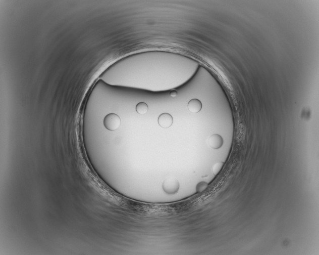X0000096480899200801241144